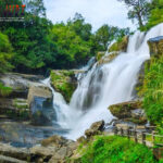 Poker Online, Togel Singapura, Togel Hongkong