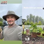 Poker Online, Togel Singapura, Togel Hongkong