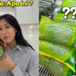 Poker Online, Togel Singapura, Togel Hongkong