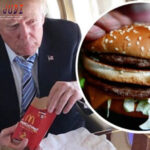 Poker Online, Togel Singapura, Togel HongkongPoker Online, Togel Singapura, Togel Hongkong