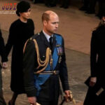 Poker Online, Togel Singapura, Togel HongkongPoker Online, Togel Singapura, Togel Hongkong