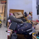 Poker Online, Togel Singapura, Togel HongkongPoker Online, Togel Singapura, Togel Hongkong