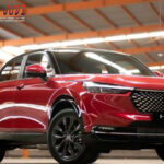 Poker Online, Togel Singapura, Togel HongkongPoker Online, Togel Singapura, Togel Hongkong