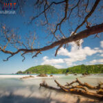 Poker Online, Togel Singapura, Togel HongkongPoker Online, Togel Singapura, Togel Hongkong