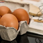 Poker Online, Togel Singapura, Togel HongkongPoker Online, Togel Singapura, Togel Hongkong