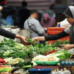 Poker Online, Togel Singapura, Togel HongkongPoker Online, Togel Singapura, Togel Hongkong