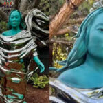 Poker Online, Togel Singapura, Togel HongkongPoker Online, Togel Singapura, Togel Hongkong