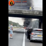 Poker Online, Togel Singapura, Togel HongkongPoker Online, Togel Singapura, Togel Hongkong