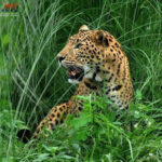 Poker Online, Togel Singapura, Togel HongkongPoker Online, Togel Singapura, Togel Hongkong