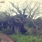 Togel Singapura, Togel Hongkong, Togel Sydney