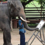 Togel Online Terbaik, Bandar Togel Terbaik, Situs Togel Terpercaya