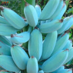 Togel Online Terbaik, Bandar Togel Terbaik, Situs Togel Terpercaya