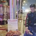 Togel Online Terbaik, Bandar Togel Terbaik, Situs Togel Terpercaya
