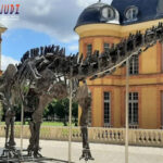 Judi Togel Online, Bandar Togel Terpercaya, Togel Online Terbaik