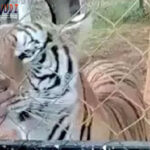 togel Online Terbaik, Agen Togel Terpercaya, Bandar Togel Terbaikel Online Terbaik, Agen Togel Terpercaya, Bandar Togel Terbaik