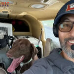 Agen Togel Terbaik, Togel Online, Live Togel Terbaik