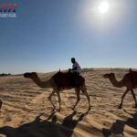 togel Online Terbaik, Agen Togel Terpercaya, Bandar Togel Terbaikel Online Terbaik, Agen Togel Terpercaya, Bandar Togel Terbaik