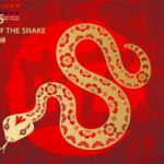 togel Online Terbaik, Agen Togel Terpercaya, Bandar Togel Terbaikel Online Terbaik, Agen Togel Terpercaya, Bandar Togel Terbaik