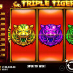 Togel Online Terbaik, Bandar Togel Terbaik, Situs Togel Terpercaya