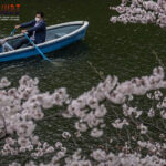 togel Online Terbaik, Agen Togel Terpercaya, Bandar Togel Terbaikel Online Terbaik, Agen Togel Terpercaya, Bandar Togel Terbaik