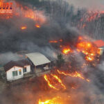 Bandar Togel Terbaik, Situs Togel Terpercaya, Agen Togel Terpercaya