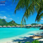 Agen Togel Terpercaya, Bandar Togel Terbaik, Judi Togel Online