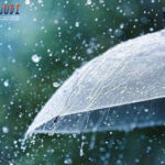 Poker Online Terbaik, Poker Online Uang Asli, Live Poker Indonesia